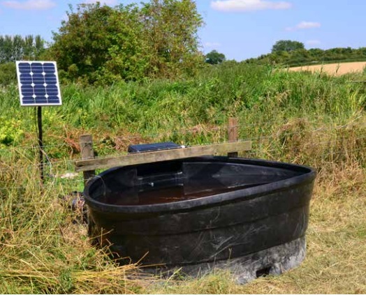 Water Pumps for your livestock - both solar and battery powered pumps